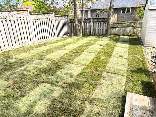 Burlington sod installation