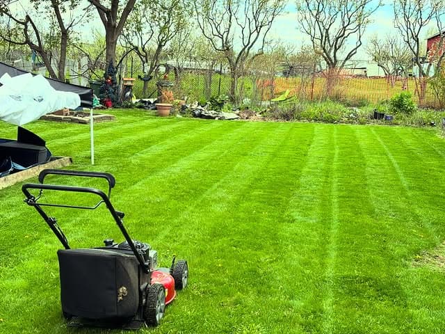 Lawn maintenance