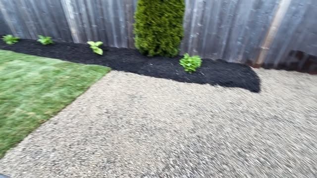 Welland backyard rework